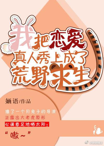 伟大航路巨星指南