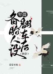 [综英美]你好主人，再见主人