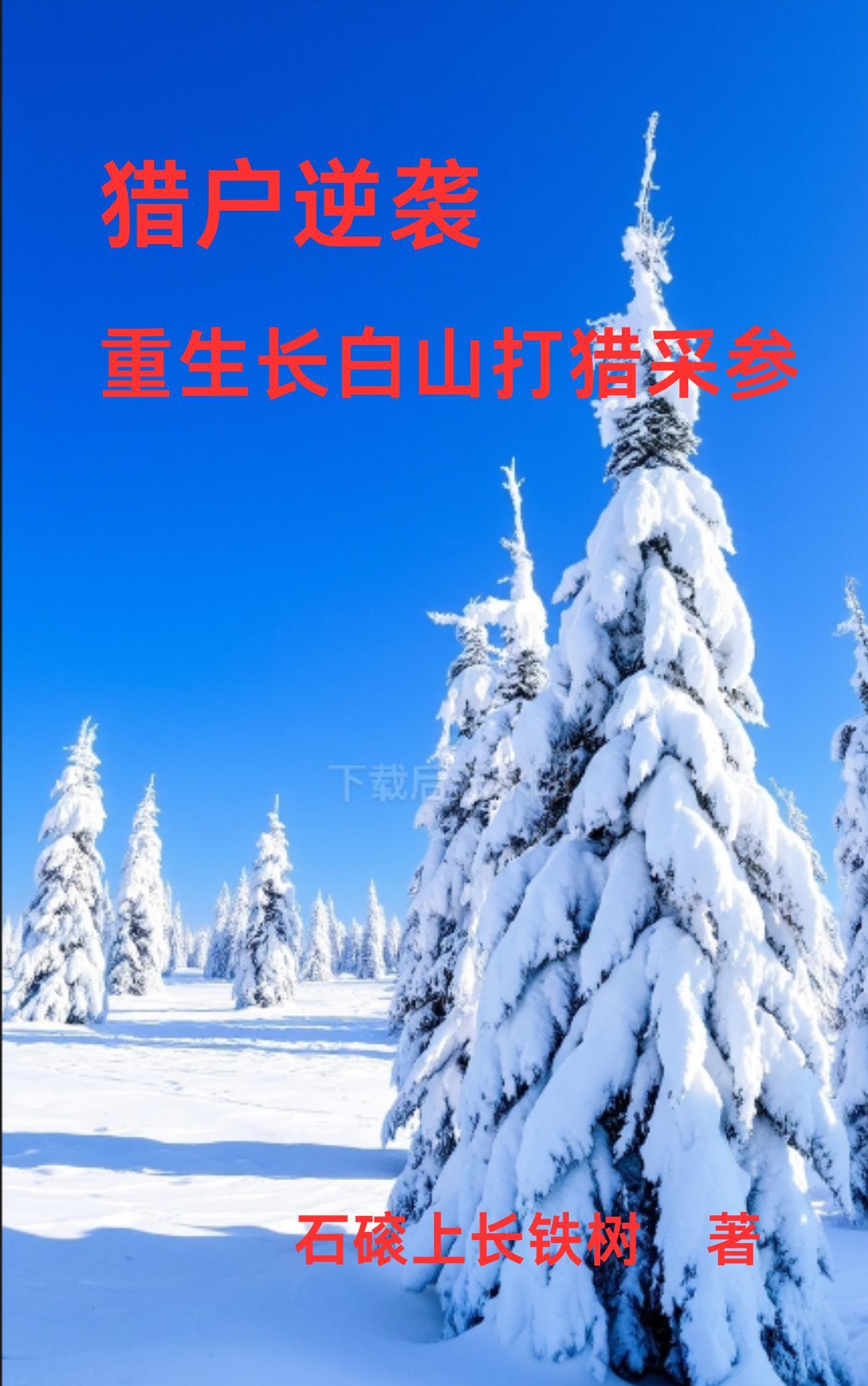 原神 自由的指引是什么