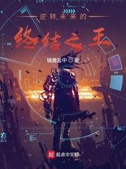 全职猎人揍敌客klktxt