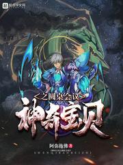 神奇宝贝之圆桌会议