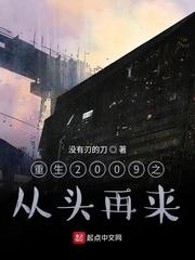重生2009之从头再来