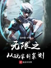 无限之从玩家到策划