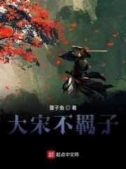 大宋不羁子
