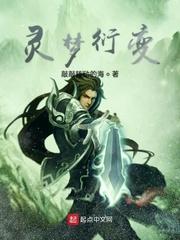 灵梦衍变