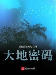 大地密码