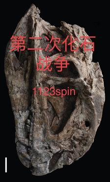 我真的只想考科举不吃糖包原著小说未删减