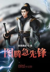 白苓傅琛小说