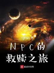 NPC的救赎之旅