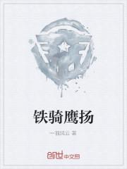 铁骑鹰扬