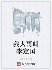 我大哥叫李定国