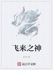 飞来之神