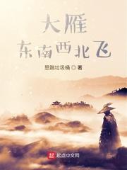 大雁东南西北飞