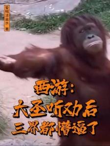 歌曲起风了原版