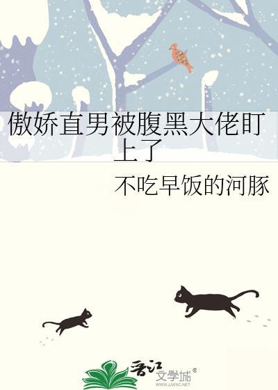 圣骑士决定……